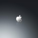 grey-apple-logo